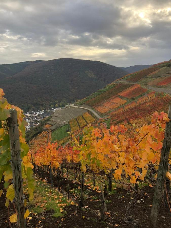 Ferienwohnung Hochgewaechs Bad Neuenahr-Ahrweiler Exteriér fotografie