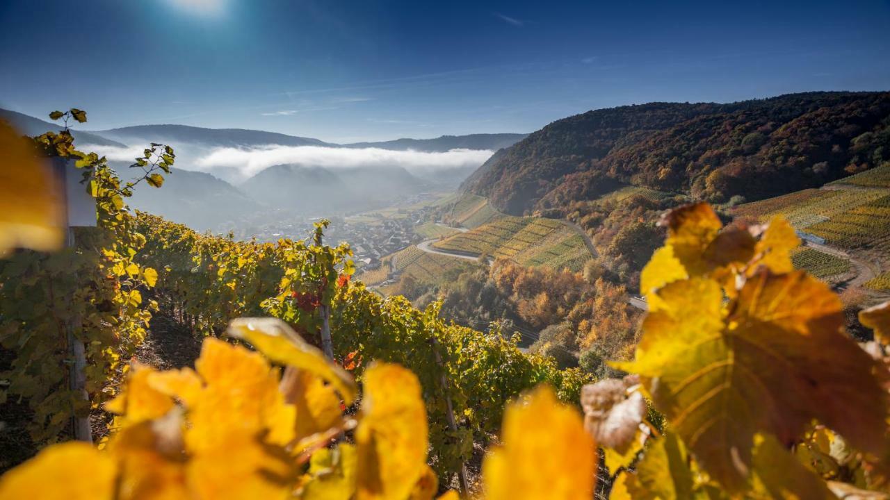 Ferienwohnung Hochgewaechs Bad Neuenahr-Ahrweiler Exteriér fotografie